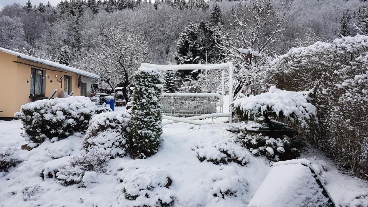 Ferienwohnung Schortestrasse Ilmenau Bagian luar foto